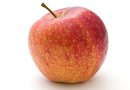 Frugthøsten – De bedste æbletræer til haven